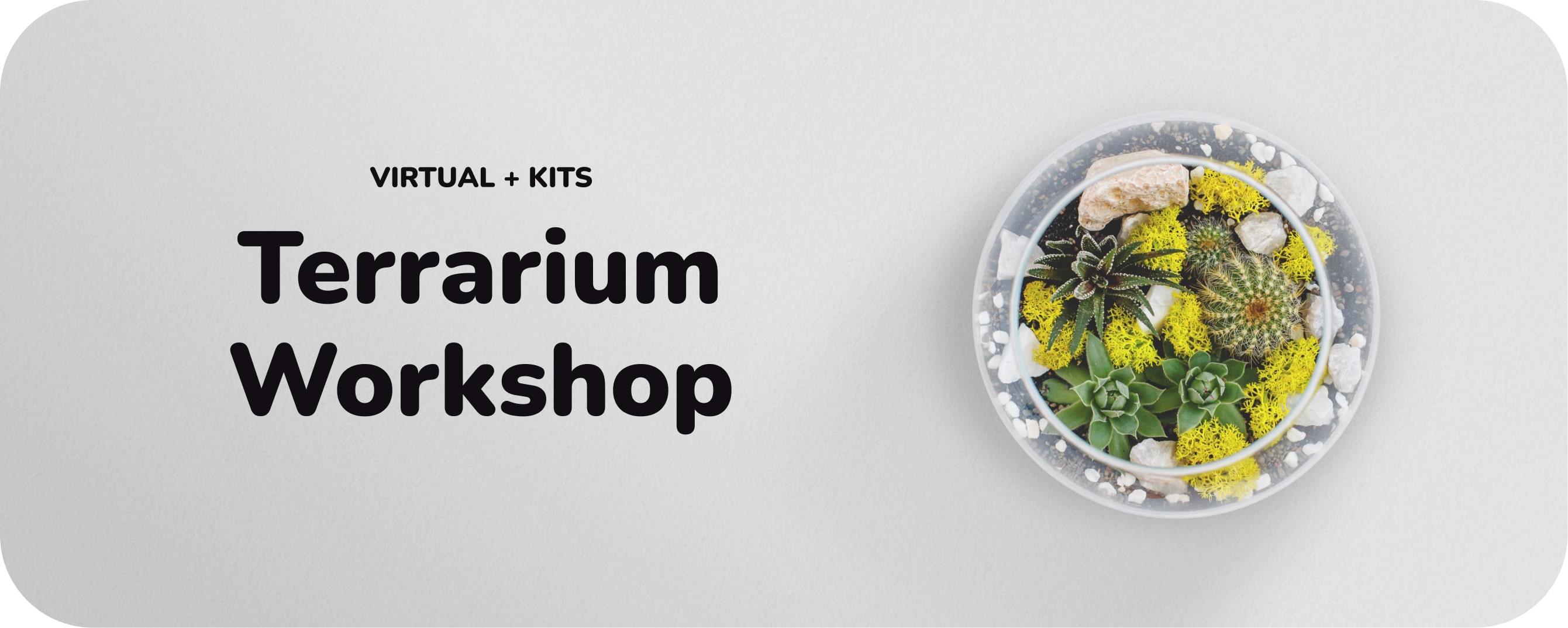 Terrarium Workshop