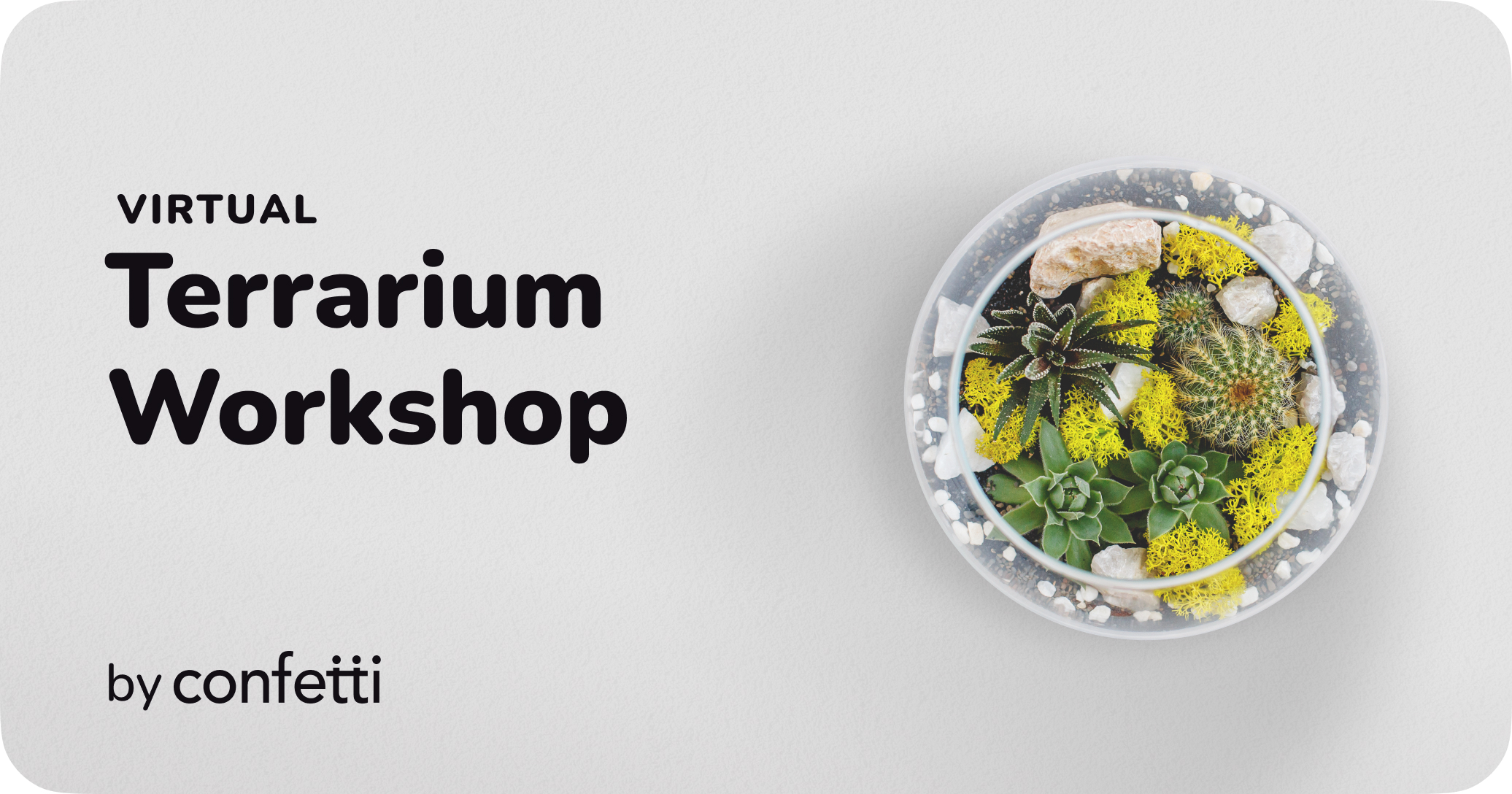 Virtual Terrarium Workshop by Confetti