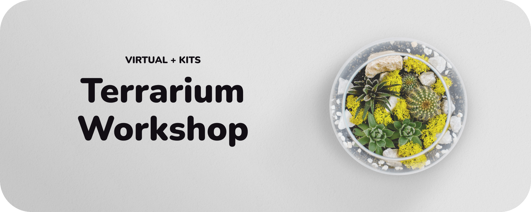 Virtual + Kits Terrarium Workshop