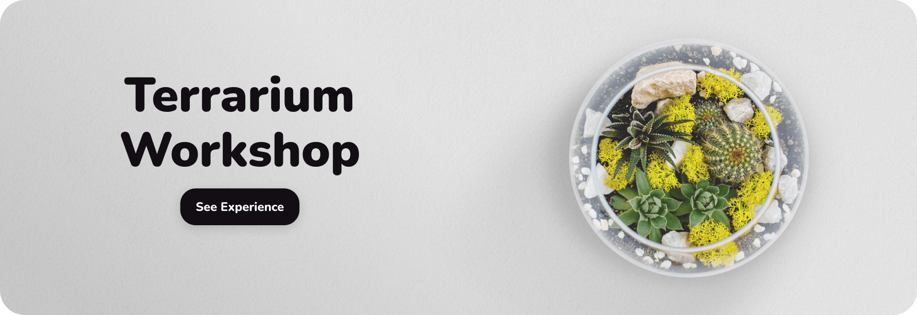 Terrarium Workshop